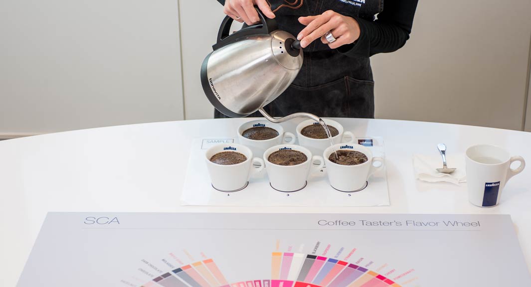 expérience de dégustation du café